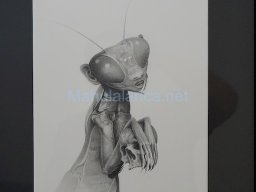 Exposición el tiempo de la Crisálida